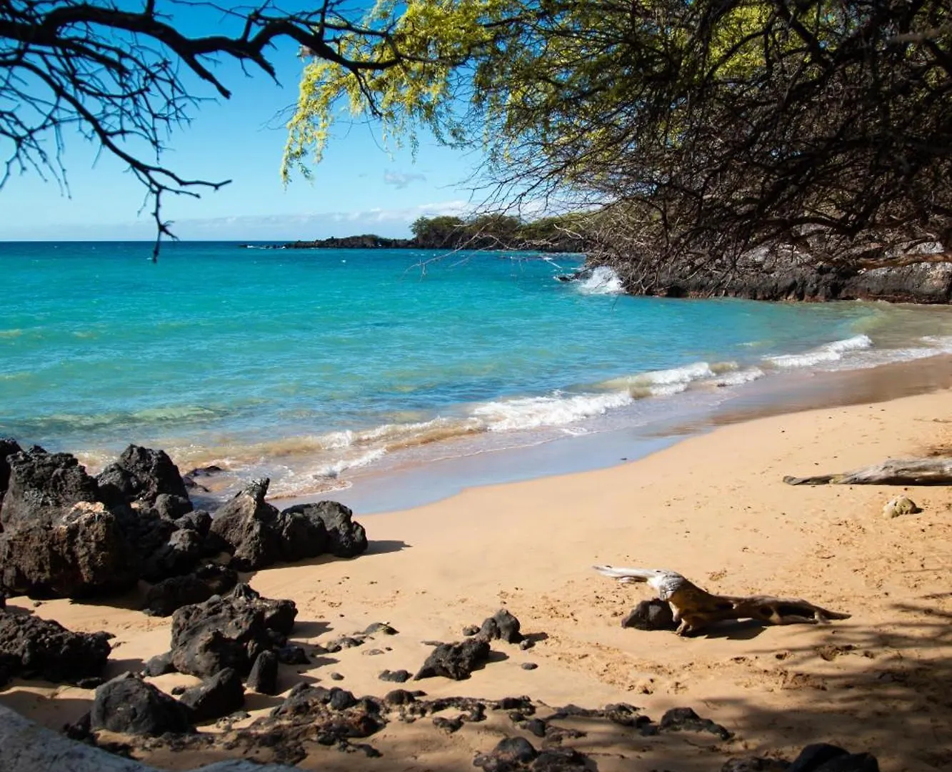Hale Makani Kailua-Kona Feriehus