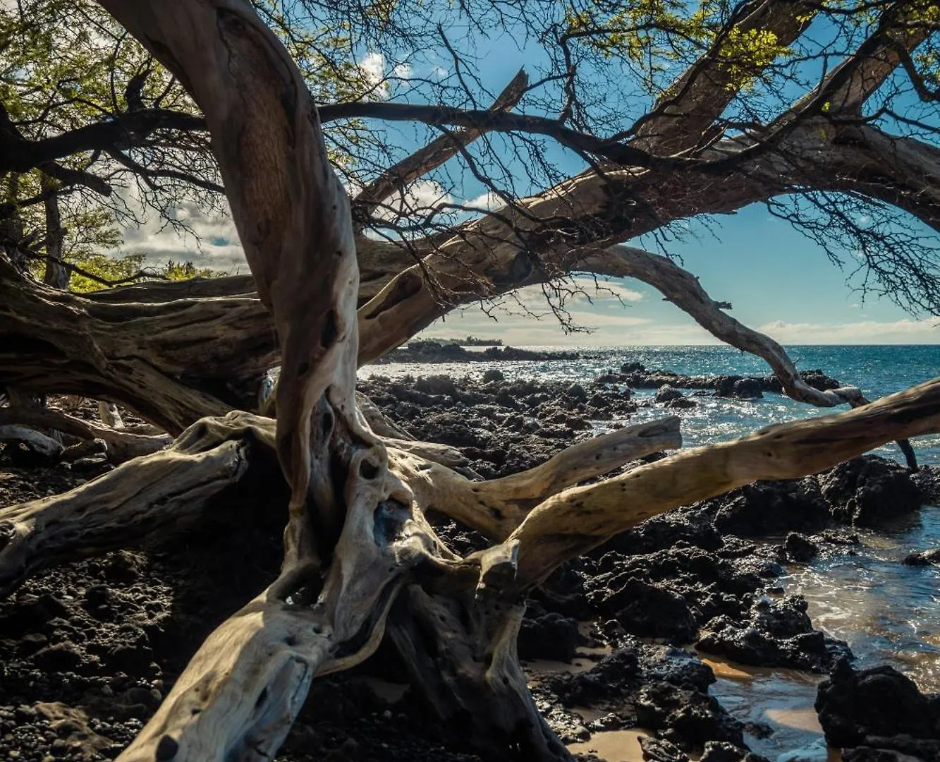 Feriehus Hale Makani Kailua-Kona USA